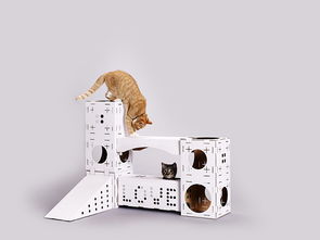 荷兰Poopy Cat BLOCKS拼装积木猫屋